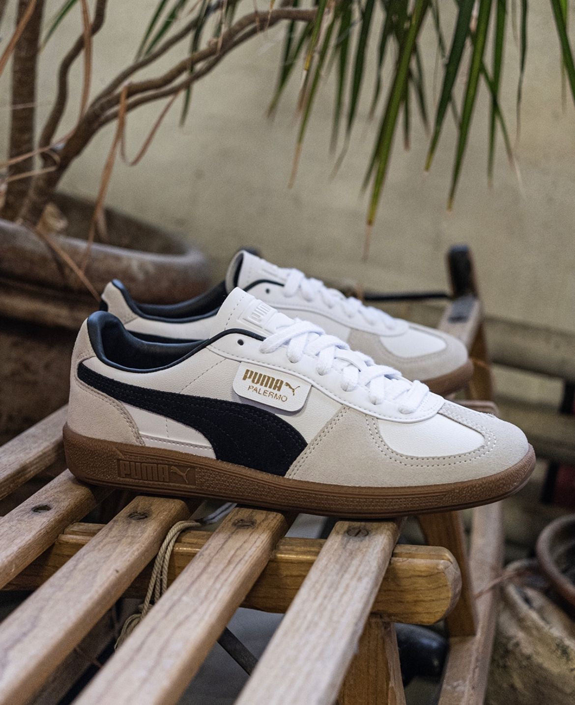 PMA. Palermo Sneakers White Black