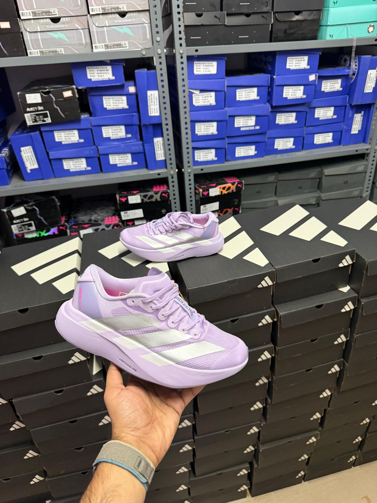 ADS. Adizero Evo SL Powder Plum ( For Women )