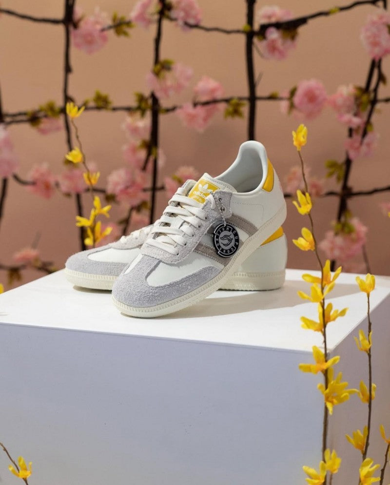 ADI. Samba X Kasina Consortium Y